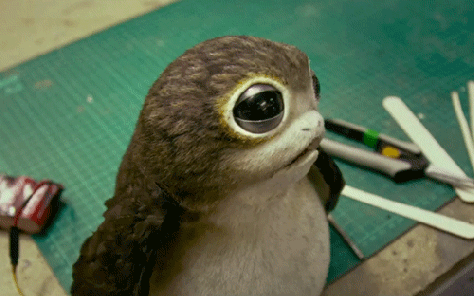 porg_gif00.gif
