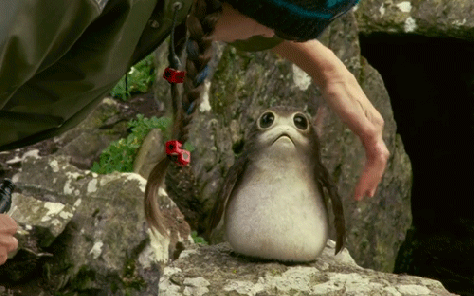 porg_gif01